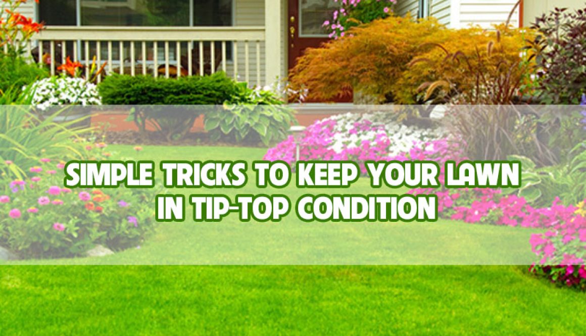 simple-tricks-to-keep-your-lawn-in-tip-top-condition-thumbnail