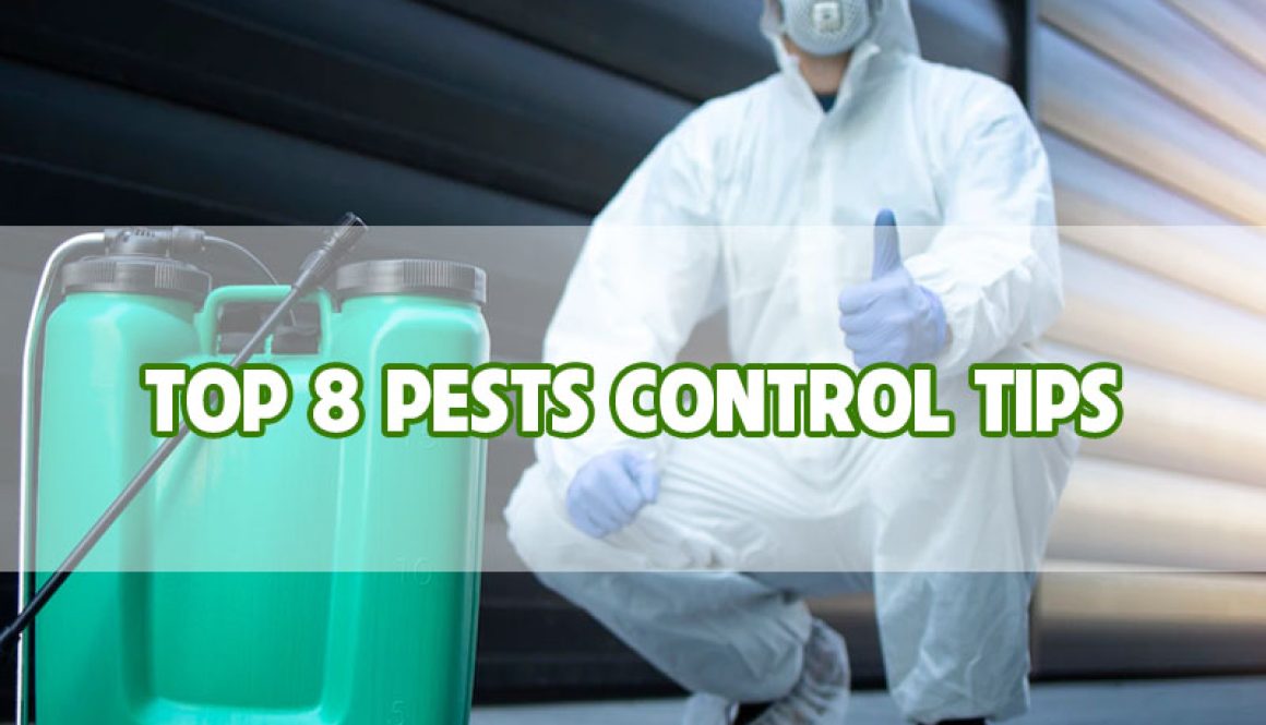 top-8-pests-control-tips