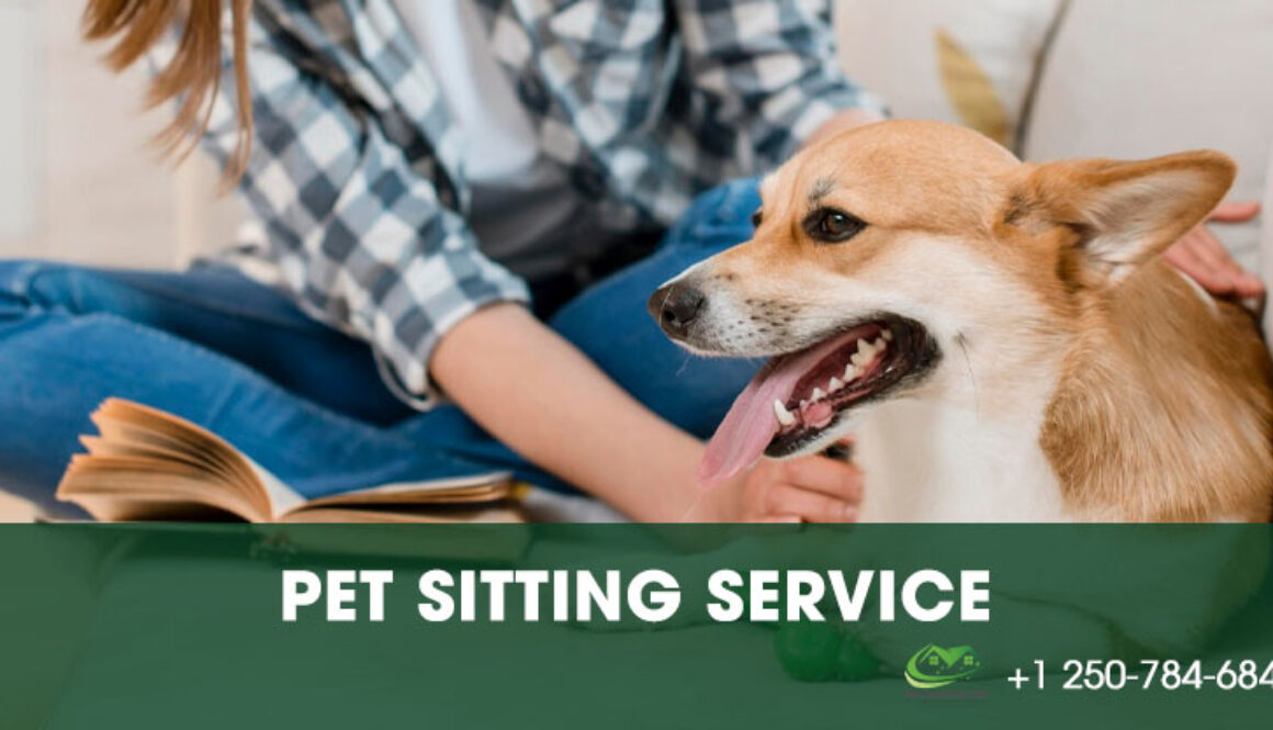 service-pbcleaning-247-pet-sitting